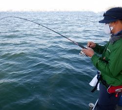 遊漁船 幸友丸 釣果