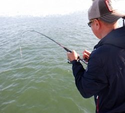 遊漁船 幸友丸 釣果