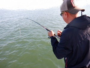 遊漁船 幸友丸 釣果