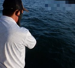 遊漁船 幸友丸 釣果