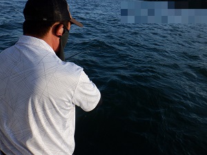 遊漁船 幸友丸 釣果