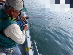 遊漁船 幸友丸 釣果