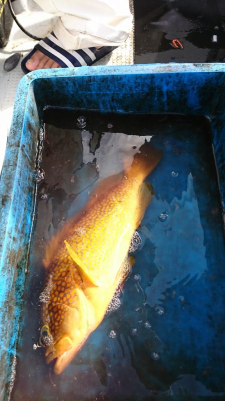 海龍丸(福岡) 釣果