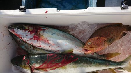 海龍丸(福岡) 釣果