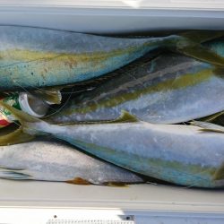 海龍丸(福岡) 釣果