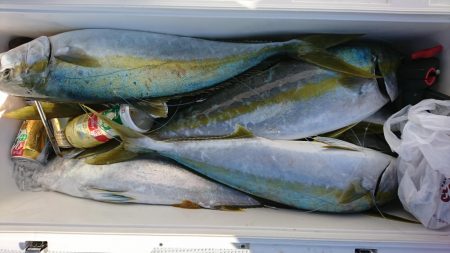 海龍丸(福岡) 釣果