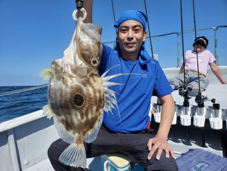 ブルーピア 釣果