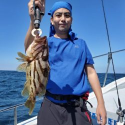 ブルーピア 釣果