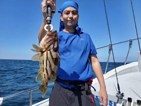 ブルーピア 釣果