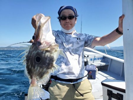 ブルーピア 釣果