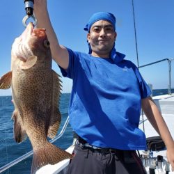 ブルーピア 釣果