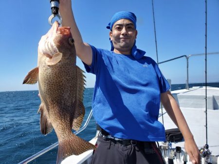 ブルーピア 釣果