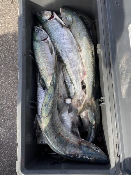 第八平成丸 釣果