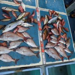 十八宝洋丸 釣果