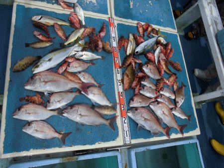 十八宝洋丸 釣果