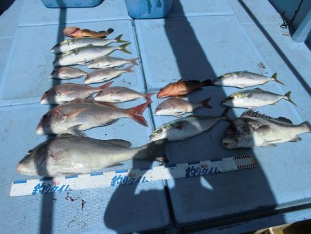 十八宝洋丸 釣果