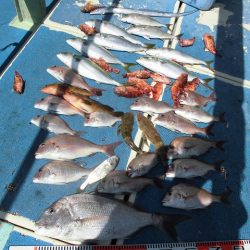 十八宝洋丸 釣果