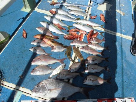 十八宝洋丸 釣果