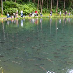 小菅トラウトガーデン 釣果