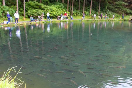 小菅トラウトガーデン 釣果