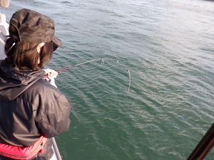 遊漁船 幸友丸 釣果