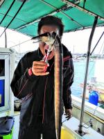 おおせき丸 釣果