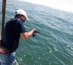 遊漁船 幸友丸 釣果