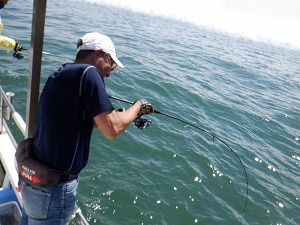 遊漁船 幸友丸 釣果