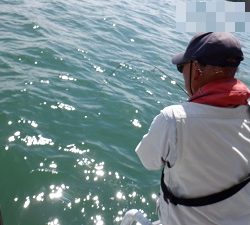 遊漁船 幸友丸 釣果