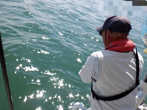 遊漁船 幸友丸 釣果