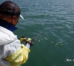 遊漁船 幸友丸 釣果