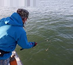 遊漁船 幸友丸 釣果