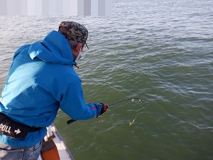 遊漁船 幸友丸 釣果