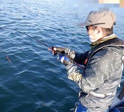 遊漁船 幸友丸 釣果