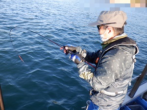 遊漁船 幸友丸 釣果