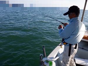 遊漁船 幸友丸 釣果