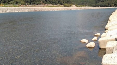 大井川(大井川(非)漁業協同組合) 釣果