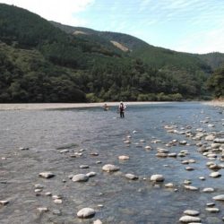 大井川(大井川(非)漁業協同組合) 釣果