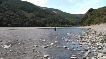 大井川(大井川(非)漁業協同組合) 釣果