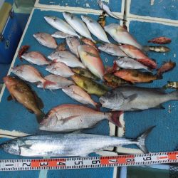 十八宝洋丸 釣果