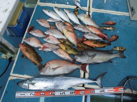 十八宝洋丸 釣果