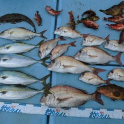 十八宝洋丸 釣果