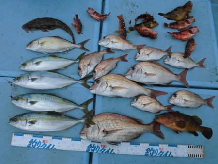 十八宝洋丸 釣果