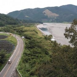大井川（大井川(非)漁業協同組合） 釣果