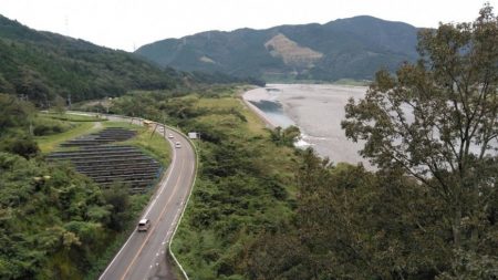 大井川（大井川(非)漁業協同組合） 釣果
