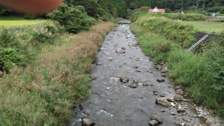 大井川（大井川(非)漁業協同組合） 釣果