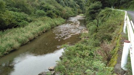 大井川（大井川(非)漁業協同組合） 釣果