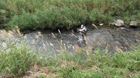 大井川(大井川(非)漁業協同組合) 釣果