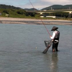 大井川(大井川(非)漁業協同組合) 釣果