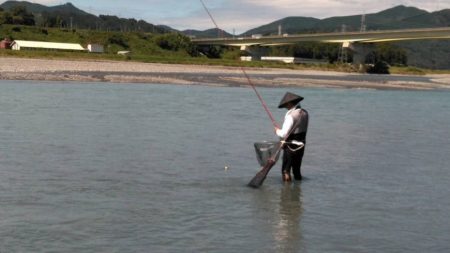 大井川（大井川(非)漁業協同組合） 釣果